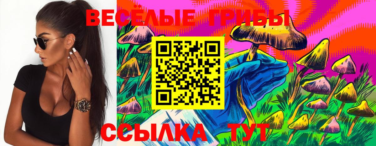 Галлюциногенные грибы мухоморы Ревда